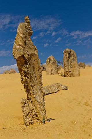 028 Nambung NP.jpg